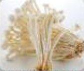 Enoki Mushroom