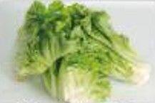 Chinese Lettuce